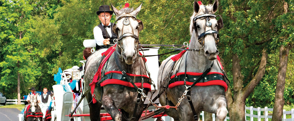 Riegsecker Carriage